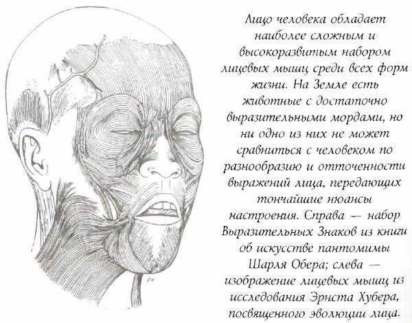 Библия языка телодвижений Библия языка телодвижений