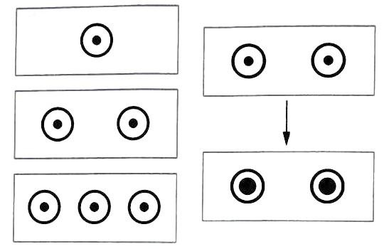 Библия языка телодвижений Библия языка телодвижений