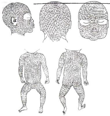 Библия языка телодвижений Библия языка телодвижений