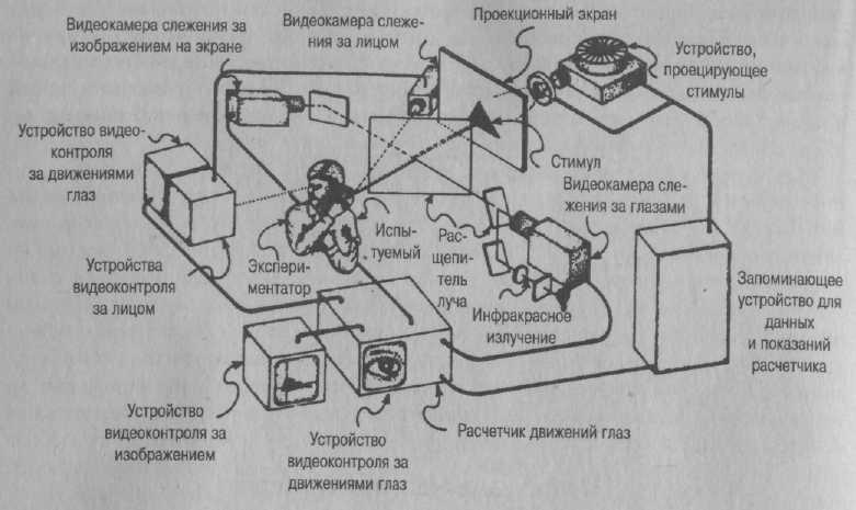 Психология развития. Методы исследования Психология развития. Методы исследования