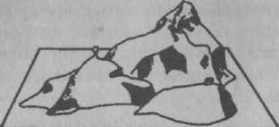 Психология развития. Методы исследования Психология развития. Методы исследования