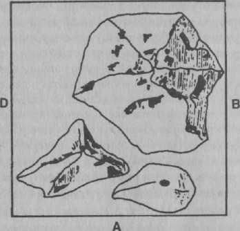 Психология развития. Методы исследования Психология развития. Методы исследования