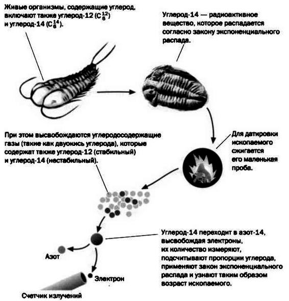 Ферми. Ядерная энергия Ферми. Ядерная энергия