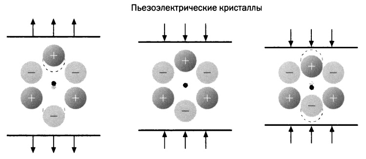 Мария Кюри. Радиоактивность и элементы Мария Кюри. Радиоактивность и элементы