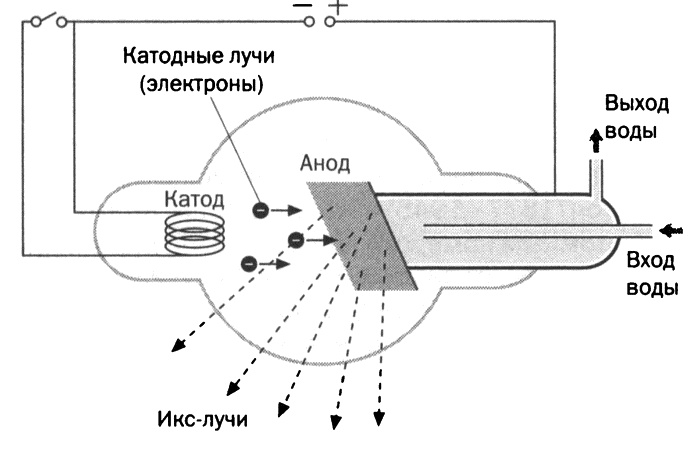 Мария Кюри. Радиоактивность и элементы Мария Кюри. Радиоактивность и элементы