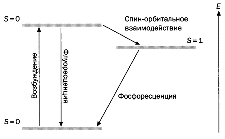 Мария Кюри. Радиоактивность и элементы Мария Кюри. Радиоактивность и элементы