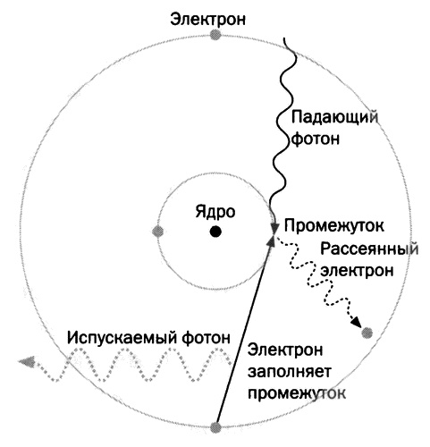 Мария Кюри. Радиоактивность и элементы Мария Кюри. Радиоактивность и элементы