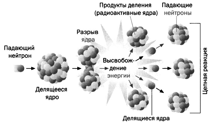 Мария Кюри. Радиоактивность и элементы Мария Кюри. Радиоактивность и элементы