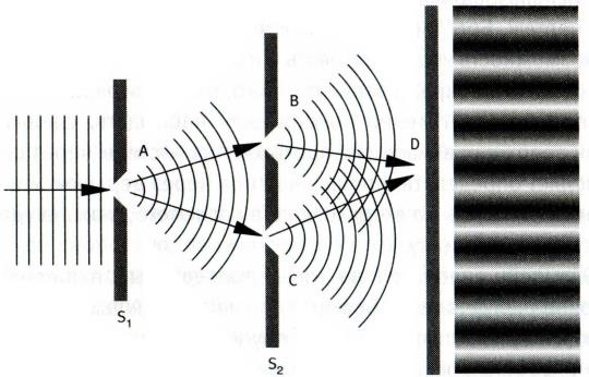 Квант Квант