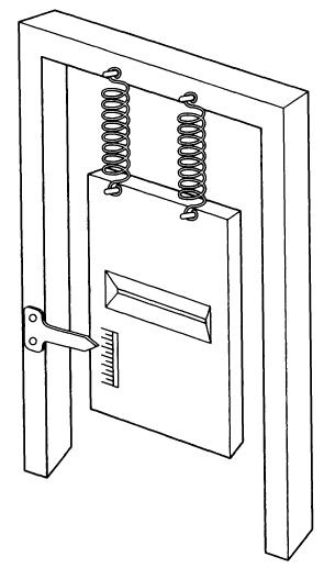 Квант Квант