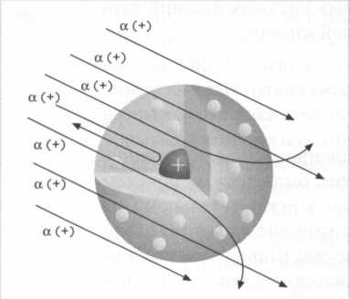 Лиза Мейтнер. Расщепление ядра Лиза Мейтнер. Расщепление ядра