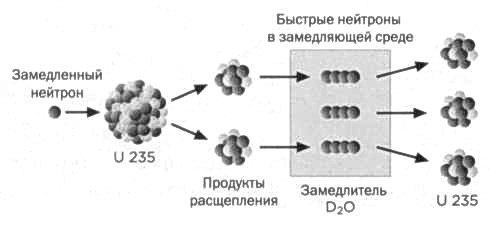 Лиза Мейтнер. Расщепление ядра Лиза Мейтнер. Расщепление ядра