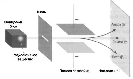 Лиза Мейтнер. Расщепление ядра Лиза Мейтнер. Расщепление ядра