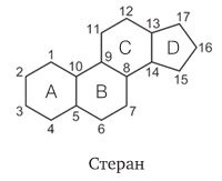 Удивительные истории о веществах самых разных. Тайны тех, что составляют землю, воду, воздух... и поэзию Удивительные истории о веществах самых разных. Тайны тех, что составляют землю, воду, воздух... и поэзию
