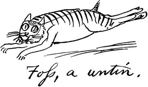 Чистый nonsense