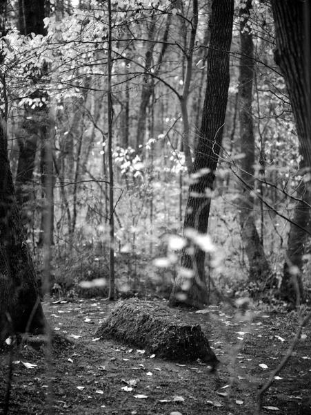 Лев Толстой