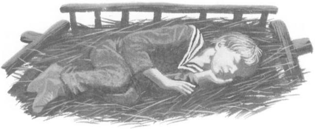 Василий Белов. Рассказы о всякой живности Василий Белов. Рассказы о всякой живности