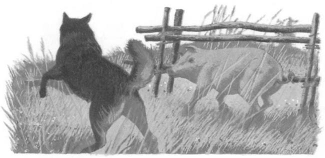Василий Белов. Рассказы о всякой живности Василий Белов. Рассказы о всякой живности