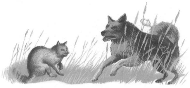 Василий Белов. Рассказы о всякой живности Василий Белов. Рассказы о всякой живности