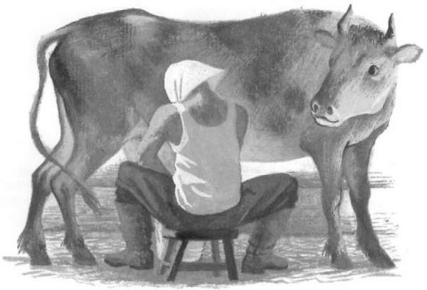 Василий Белов. Рассказы о всякой живности Василий Белов. Рассказы о всякой живности