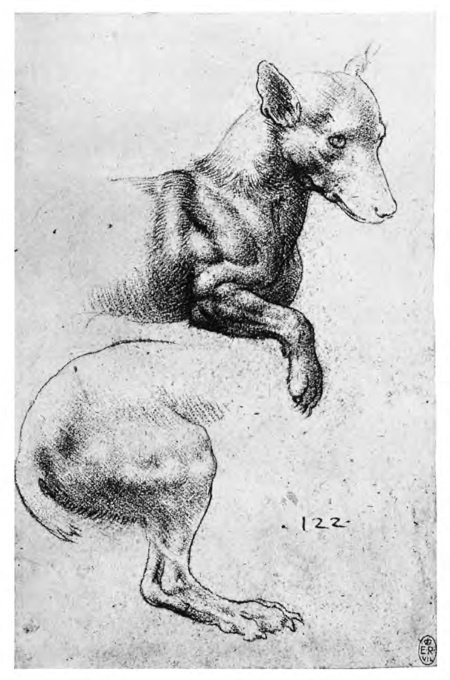 Впереди веков. Историческая повесть из жизни Леонардо да Винчи Впереди веков. Историческая повесть из жизни Леонардо да Винчи