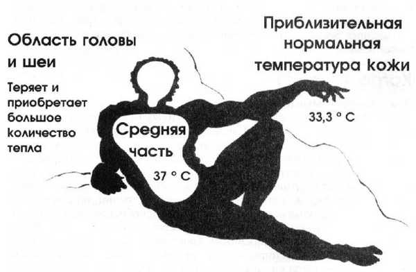 36,6 градусов. Искусство оставаться в живых! 36,6 градусов. Искусство оставаться в живых!
