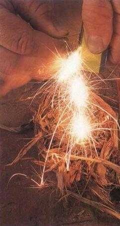 36,6 градусов. Искусство оставаться в живых! 36,6 градусов. Искусство оставаться в живых!