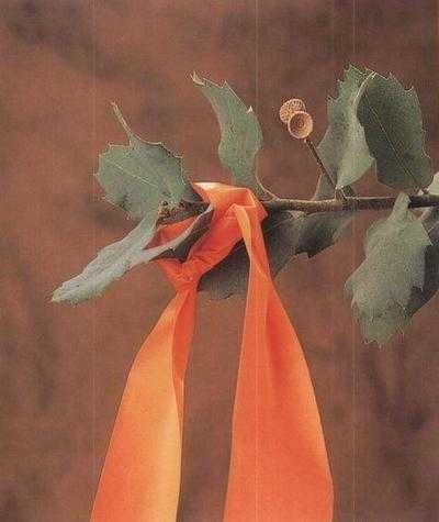 36,6 градусов. Искусство оставаться в живых! 36,6 градусов. Искусство оставаться в живых!