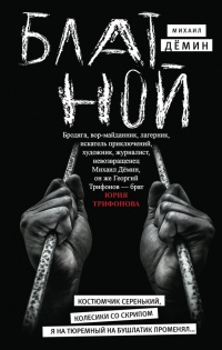 Блатной - Михаил Демин - Читать книги онлайн | Слушать аудиокниги онлайн | Электронная библиотека books-lib.com