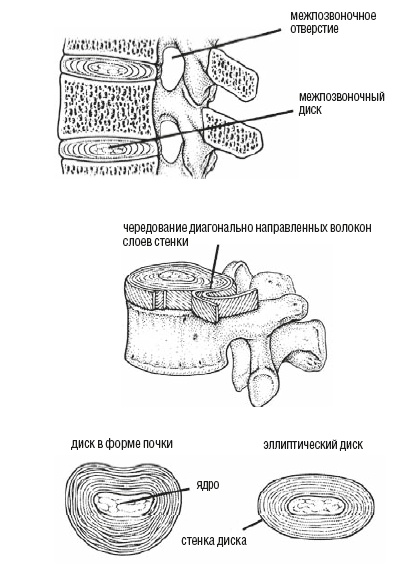 Настольная книга для тех, у кого болит спина Настольная книга для тех, у кого болит спина