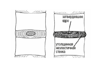 Настольная книга для тех, у кого болит спина Настольная книга для тех, у кого болит спина