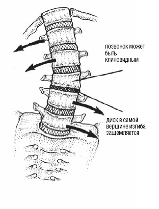 Настольная книга для тех, у кого болит спина Настольная книга для тех, у кого болит спина