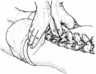 Настольная книга для тех, у кого болит спина Настольная книга для тех, у кого болит спина