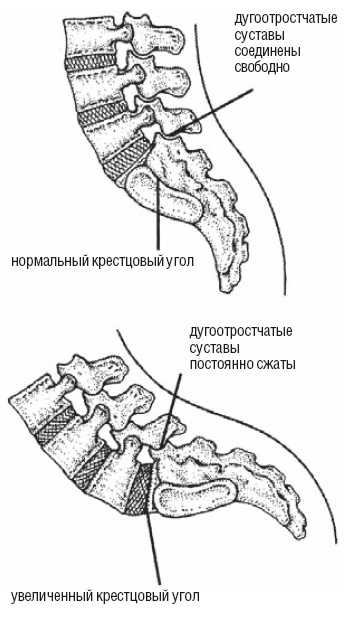 Настольная книга для тех, у кого болит спина Настольная книга для тех, у кого болит спина