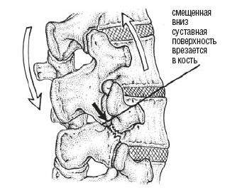 Настольная книга для тех, у кого болит спина Настольная книга для тех, у кого болит спина