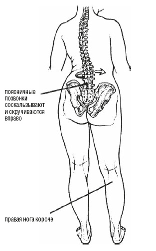 Настольная книга для тех, у кого болит спина Настольная книга для тех, у кого болит спина