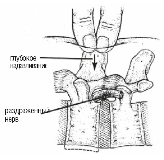 Настольная книга для тех, у кого болит спина Настольная книга для тех, у кого болит спина