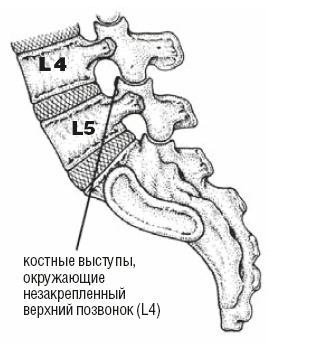 Настольная книга для тех, у кого болит спина Настольная книга для тех, у кого болит спина