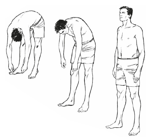 Настольная книга для тех, у кого болит спина Настольная книга для тех, у кого болит спина