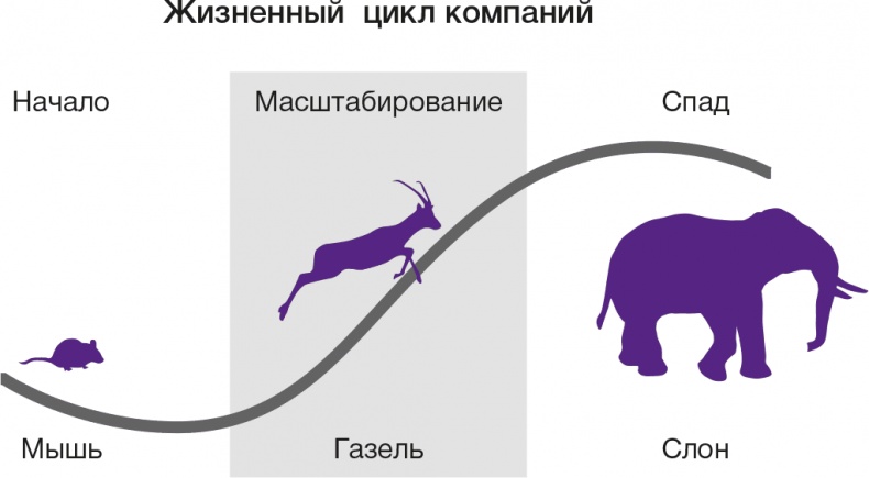 Развитие бизнеса: инструменты прибыльного роста Развитие бизнеса: инструменты прибыльного роста