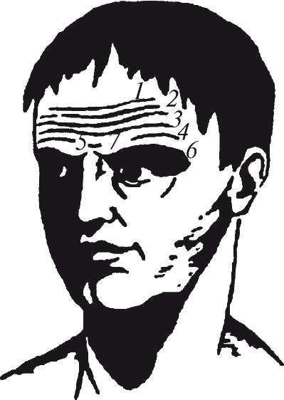 Как читать человека. Черты лица, жесты, позы, мимика Как читать человека. Черты лица, жесты, позы, мимика