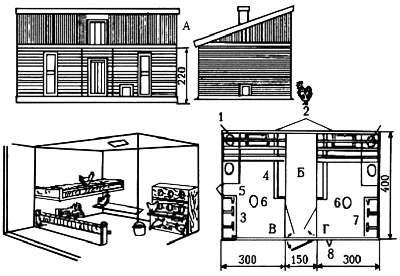 Разведение и выращивание кур обычных пород и бройлеров Разведение и выращивание кур обычных пород и бройлеров