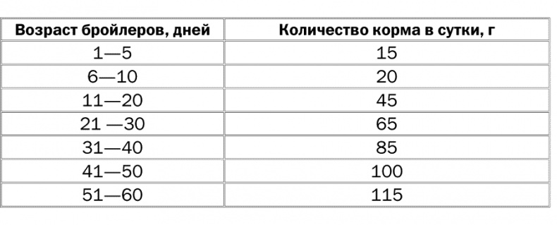 Разведение и выращивание кур обычных пород и бройлеров Разведение и выращивание кур обычных пород и бройлеров