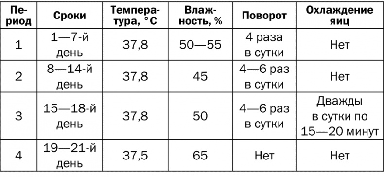 Разведение и выращивание кур обычных пород и бройлеров Разведение и выращивание кур обычных пород и бройлеров