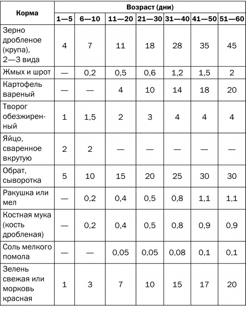 Разведение и выращивание кур обычных пород и бройлеров Разведение и выращивание кур обычных пород и бройлеров