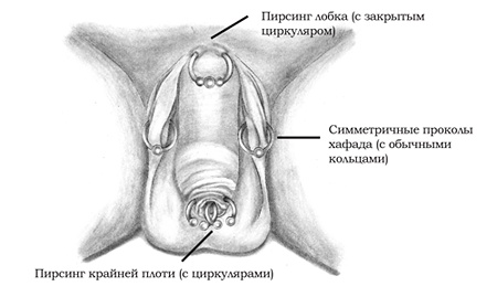 Энциклопедия Пирсинга. Настольная книга мастера и клиента Энциклопедия Пирсинга. Настольная книга мастера и клиента