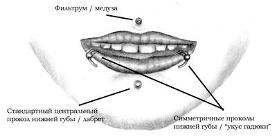 Энциклопедия Пирсинга. Настольная книга мастера и клиента Энциклопедия Пирсинга. Настольная книга мастера и клиента
