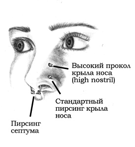 Энциклопедия Пирсинга. Настольная книга мастера и клиента Энциклопедия Пирсинга. Настольная книга мастера и клиента