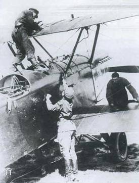 Самолеты-разведчики Р-5 и P-Z Самолеты-разведчики Р-5 и P-Z