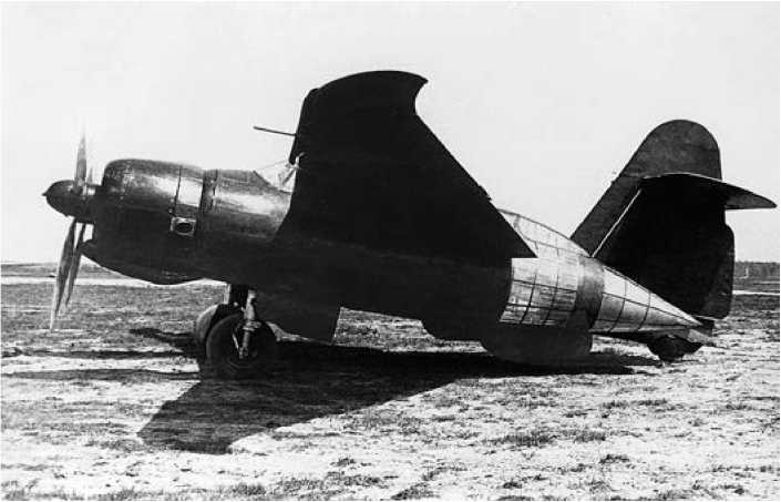 Экспериментальные самолёты России. 1912-1941 гг. Экспериментальные самолёты России. 1912-1941 гг.